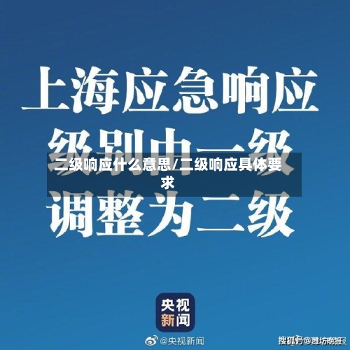 二级响应什么意思/二级响应具体要求-第3张图片