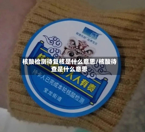 核酸检测待复核是什么意思/核酸待查是什么意思