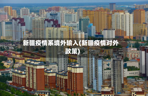 新疆疫情系境外输入(新疆疫情对外政策)-第2张图片