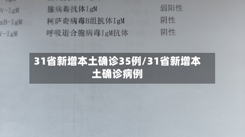 31省新增本土确诊35例/31省新增本土确诊病例-第2张图片