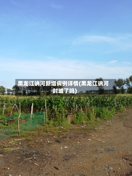 黑龙江讷河新增病例详情(黑龙江讷河封城了吗)-第2张图片