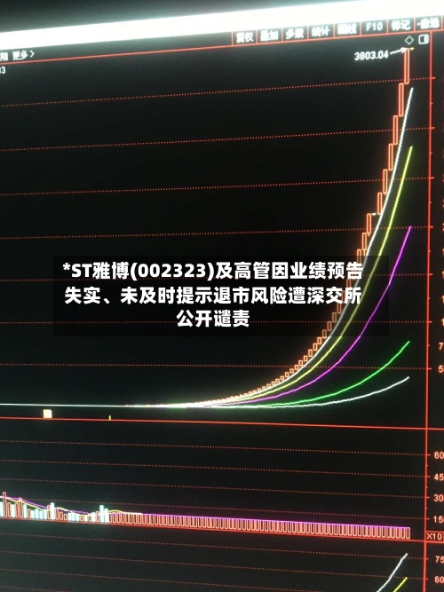 *ST雅博(002323)及高管因业绩预告失实、未及时提示退市风险遭深交所公开谴责