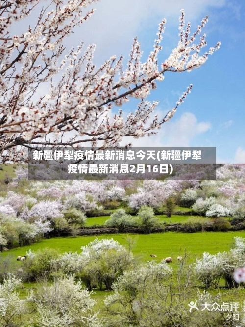 新疆伊犁疫情最新消息今天(新疆伊犁疫情最新消息2月16日)