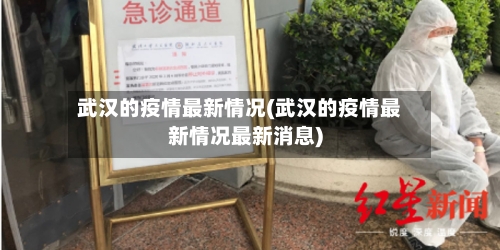 武汉的疫情最新情况(武汉的疫情最新情况最新消息)-第3张图片