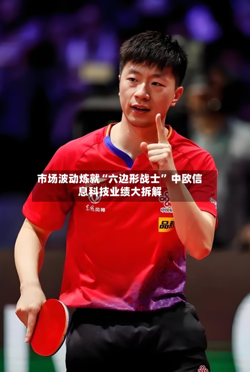 市场波动炼就“六边形战士” 中欧信息科技业绩大拆解-第2张图片