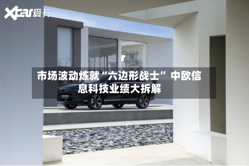市场波动炼就“六边形战士” 中欧信息科技业绩大拆解-第3张图片