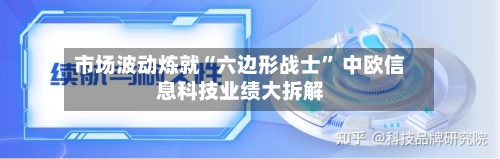 市场波动炼就“六边形战士” 中欧信息科技业绩大拆解