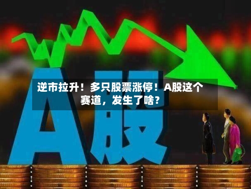 逆市拉升！多只股票涨停！A股这个赛道，发生了啥？