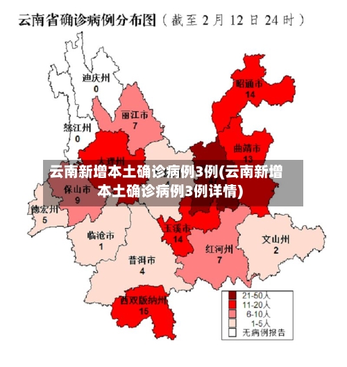 云南新增本土确诊病例3例(云南新增本土确诊病例3例详情)-第3张图片