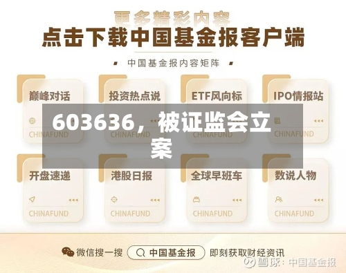 603636，被证监会立案