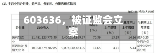 603636，被证监会立案-第3张图片
