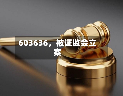 603636	，被证监会立案-第2张图片