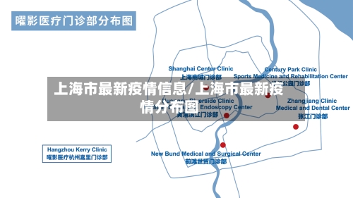 上海市最新疫情信息/上海市最新疫情分布图-第3张图片