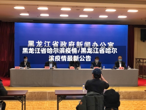 黑龙江省哈尔滨疫情/黑龙江省哈尔滨疫情最新公告-第3张图片