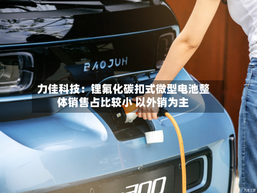 力佳科技：锂氟化碳扣式微型电池整体销售占比较小 以外销为主