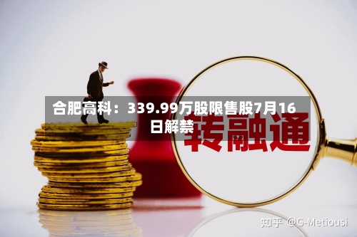 合肥高科：339.99万股限售股7月16日解禁-第2张图片