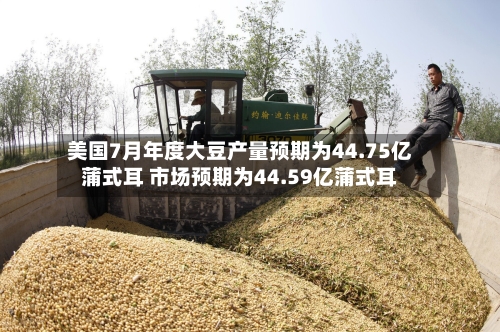 美国7月年度大豆产量预期为44.75亿蒲式耳 市场预期为44.59亿蒲式耳-第2张图片