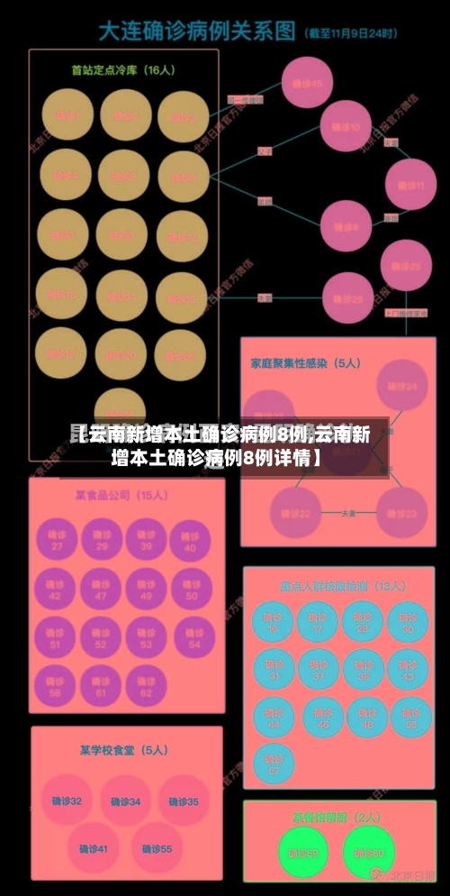 【云南新增本土确诊病例8例,云南新增本土确诊病例8例详情】-第2张图片
