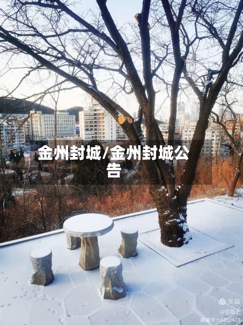 金州封城/金州封城公告-第2张图片