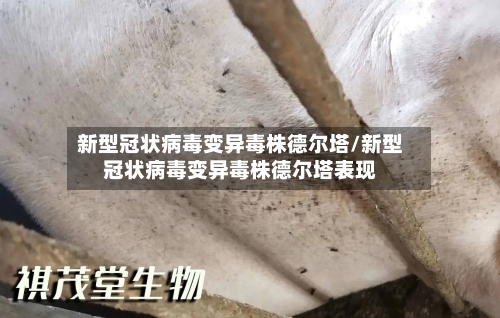 新型冠状病毒变异毒株德尔塔/新型冠状病毒变异毒株德尔塔表现