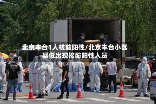 北京丰台1人核酸阳性/北京丰台小区疑似出现核酸阳性人员-第2张图片