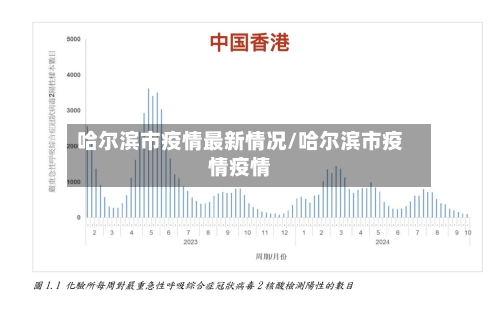 哈尔滨市疫情最新情况/哈尔滨市疫情疫情
