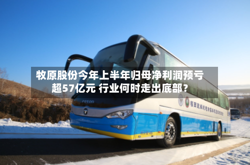 牧原股份今年上半年归母净利润预亏超57亿元 行业何时走出底部？-第2张图片
