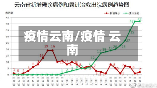疫情云南/疫情 云南-第3张图片