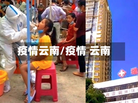 疫情云南/疫情 云南-第2张图片