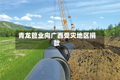 青龙管业向广西受灾地区捐款-第2张图片