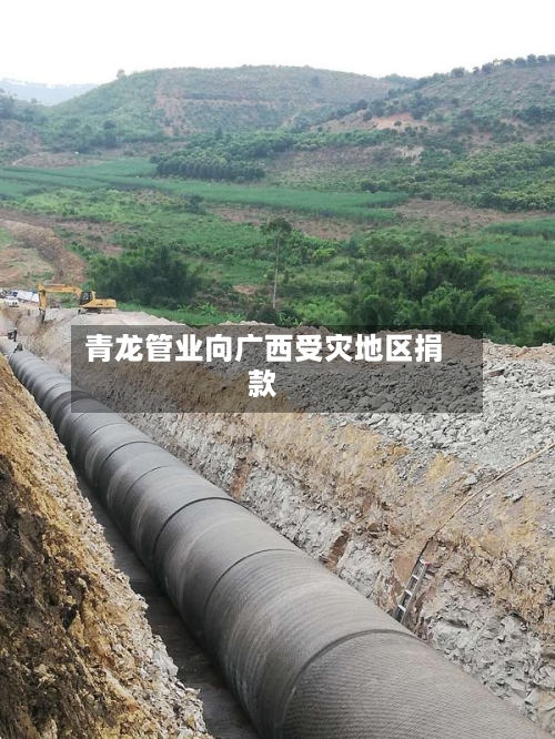 青龙管业向广西受灾地区捐款