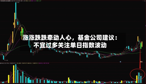 涨涨跌跌牵动人心，基金公司建议：不宜过多关注单日指数波动-第3张图片