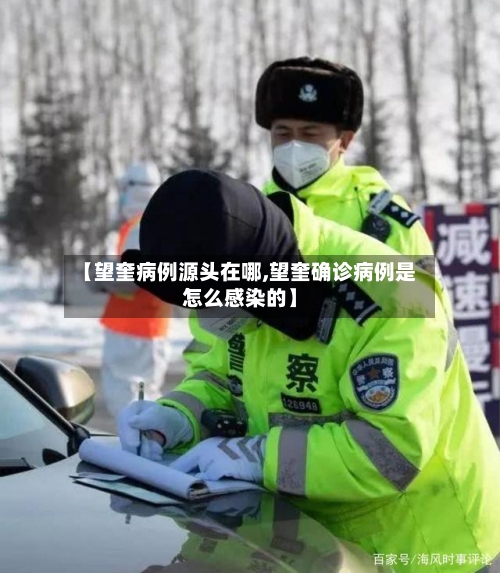 【望奎病例源头在哪,望奎确诊病例是怎么感染的】