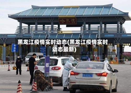 黑龙江疫情实时动态(黑龙江疫情实时动态最新)