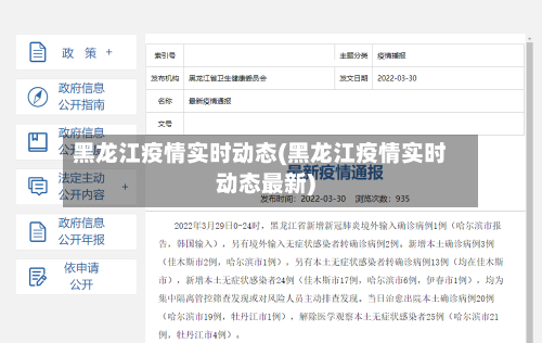 黑龙江疫情实时动态(黑龙江疫情实时动态最新)-第3张图片