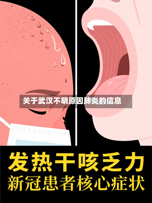 关于武汉不明原因肺炎的信息