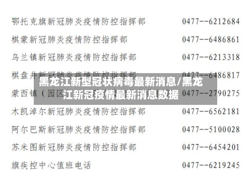 黑龙江新型冠状病毒最新消息/黑龙江新冠疫情最新消息数据-第3张图片
