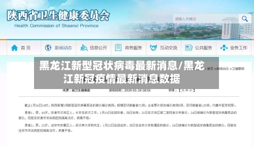 黑龙江新型冠状病毒最新消息/黑龙江新冠疫情最新消息数据-第2张图片