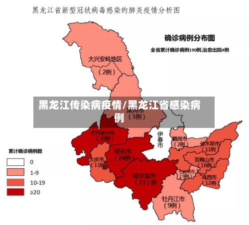 黑龙江传染病疫情/黑龙江省感染病例