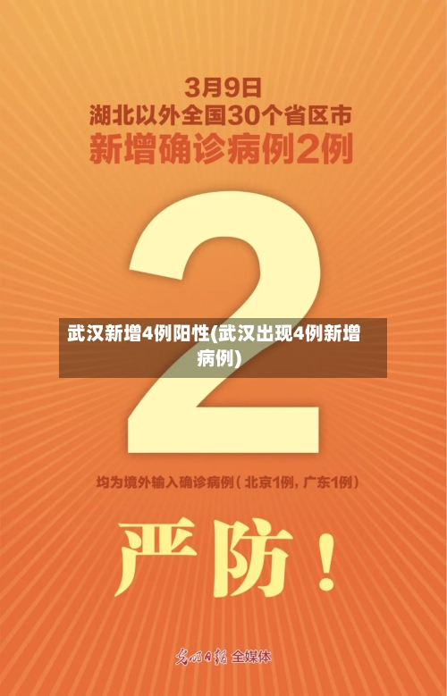 武汉新增4例阳性(武汉出现4例新增病例)-第3张图片