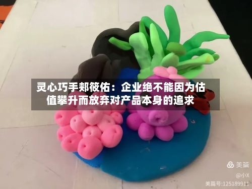 灵心巧手郏筱佑：企业绝不能因为估值攀升而放弃对产品本身的追求-第3张图片
