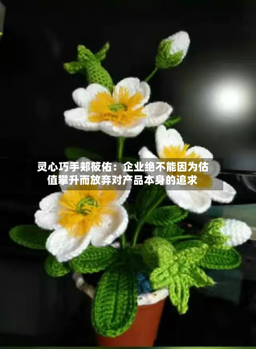 灵心巧手郏筱佑：企业绝不能因为估值攀升而放弃对产品本身的追求