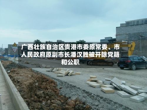 广西壮族自治区贵港市委原常委	、市人民政府原副市长潘汉胜被开除党籍和公职-第2张图片