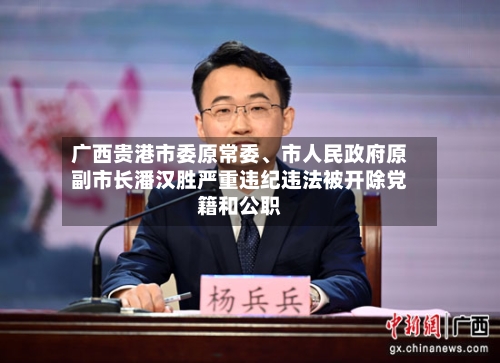 广西贵港市委原常委、市人民政府原副市长潘汉胜严重违纪违法被开除党籍和公职