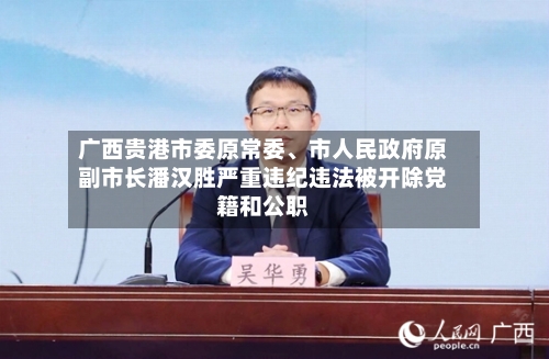 广西贵港市委原常委、市人民政府原副市长潘汉胜严重违纪违法被开除党籍和公职-第3张图片