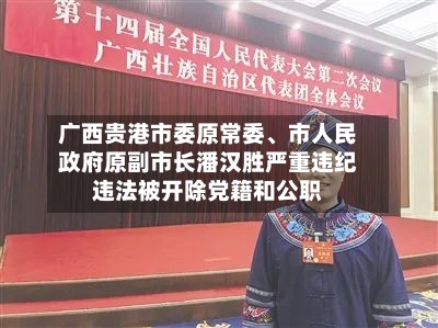 广西贵港市委原常委	、市人民政府原副市长潘汉胜严重违纪违法被开除党籍和公职-第2张图片