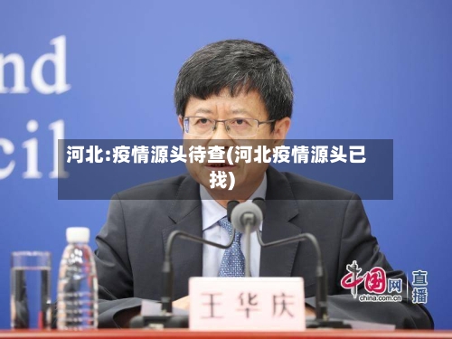 河北:疫情源头待查(河北疫情源头已找)