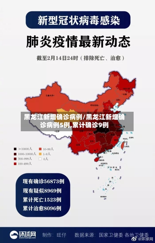 黑龙江新增确诊病例/黑龙江新增确诊病例5例,累计确诊9例