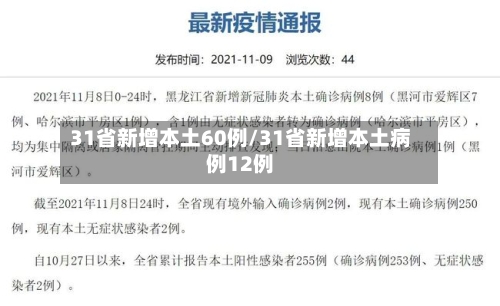 31省新增本土60例/31省新增本土病例12例-第3张图片