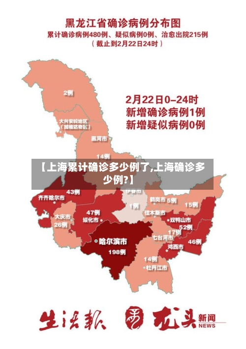 【上海累计确诊多少例了,上海确诊多少例?】-第3张图片